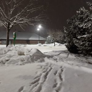 Meet your Posher, Doris